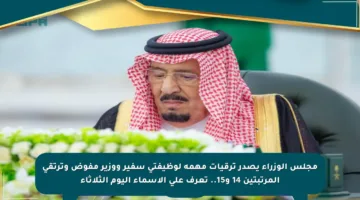 مجلس الوزراء يصدر ترقيات مهمة لوظيفتي سفير ووزير مفوض وترتقي المرتبتين 14 و15.. تعرف على الأسماء اليوم الثلاثاء